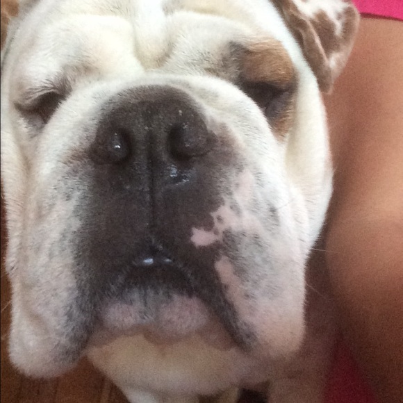 Meet your Posher, Martha - Picture 1 of 1