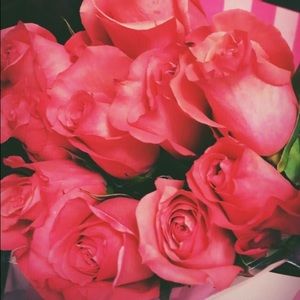 Meet your Posher, Vanassa