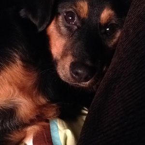 Meet your Posher, Karalyn