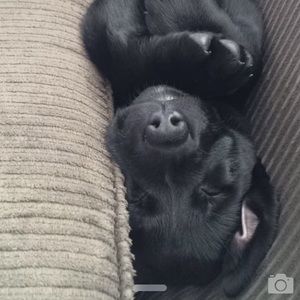 Meet your Posher, Meg