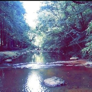 Meet your Posher, Densy