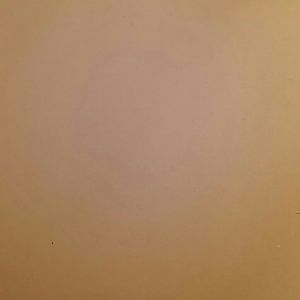 Meet your Posher, Rose