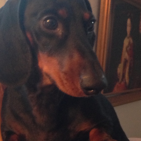 Meet your Posher, Chyneen - Picture 2 of 2