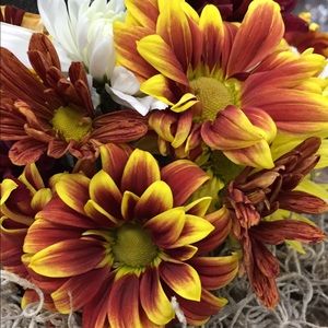 Meet your Posher, Marti