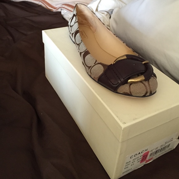 Coach shoes