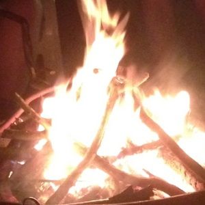 Meet your Posher, Elissa