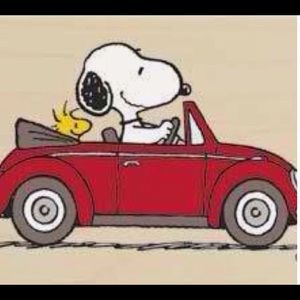 Meet your Posher, Sandy