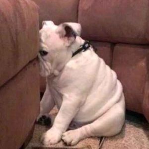 Meet your Posher, Robyn