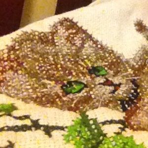 Meet your Posher, Lucy