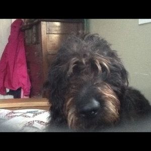 Meet your Posher, Judith