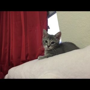 Meet your Posher, Eunji