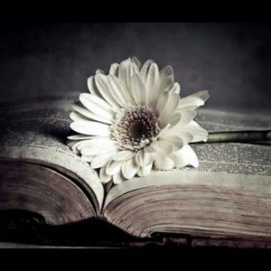 Meet your Posher, Cara