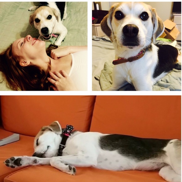 Meet your buyer/seller! ✌🏻️ - Picture 2 of 3