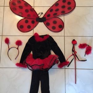 Baby ladybug custom