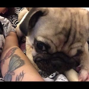 Meet your Posher, Katie