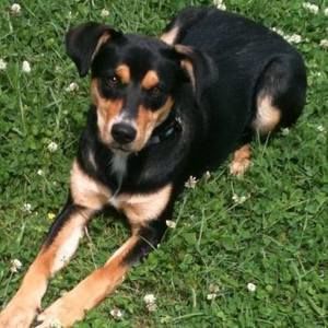 Meet your Posher, Sharon