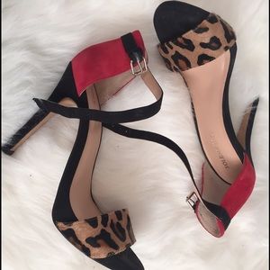Leopard, Black and Red Heels!
