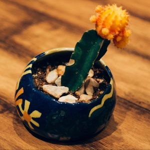 Meet your Posher, Bianca