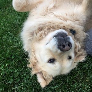 Meet your Posher, Kari