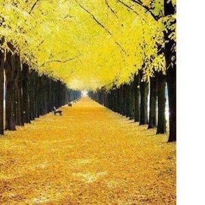 Meet your Posher, Mariah