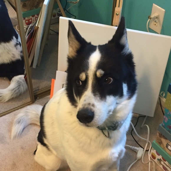 Meet your Posher, Lilly