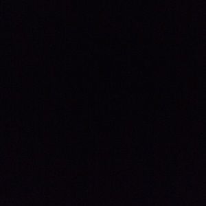 Meet your Posher, Evelyn