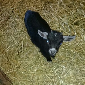 Meet your Posher, Candace