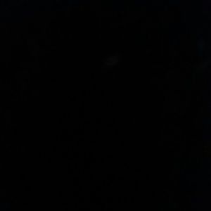 Meet your Posher, Bree