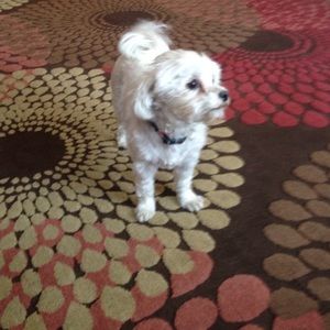 Meet your Posher, Sara