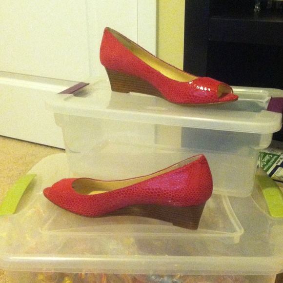 CK Shoes