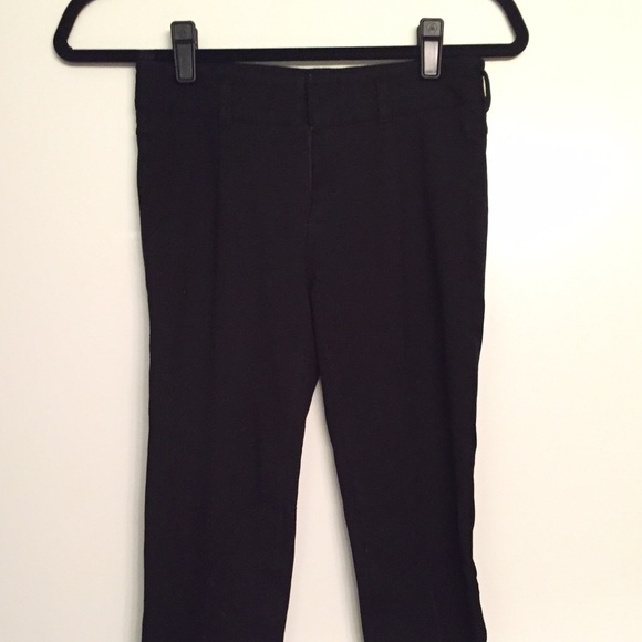 Vince Camuto stirrup pants