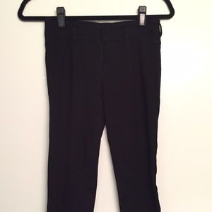Vince Camuto stirrup pants