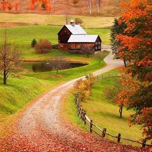 Meet your Posher, Michele