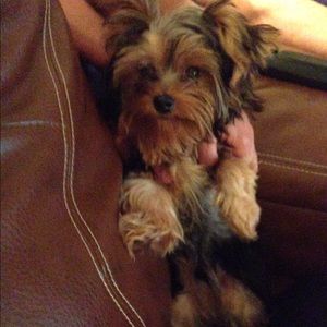 Meet your Posher, Brooke