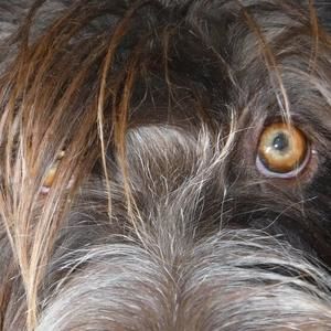 Meet your Posher, Connie