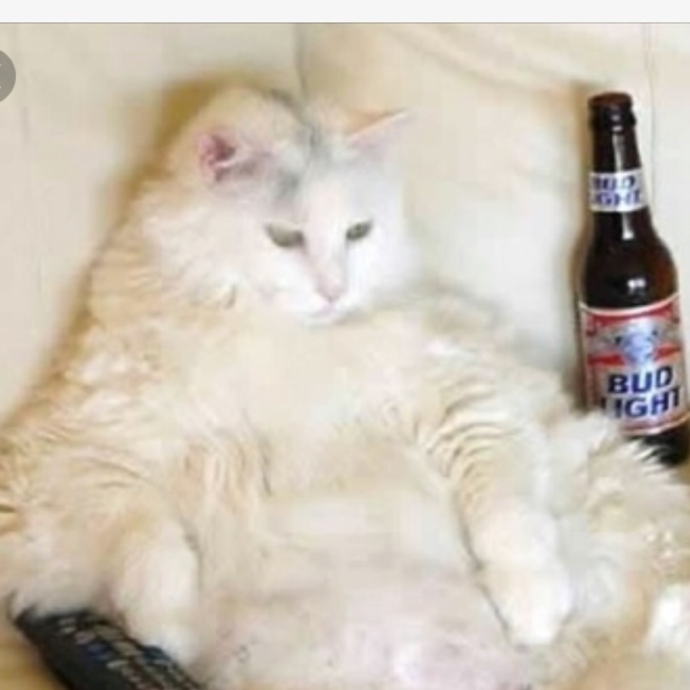 Meet your Posher, Nat