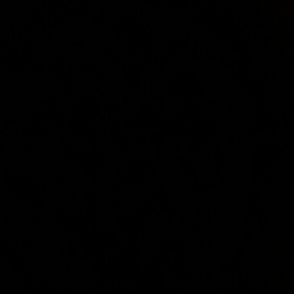 Meet your Posher, Nina