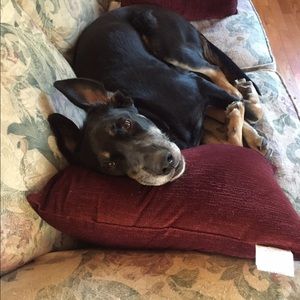 Meet your Posher, Anna