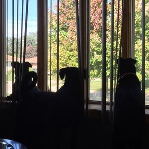 Meet your Posher, Meghan