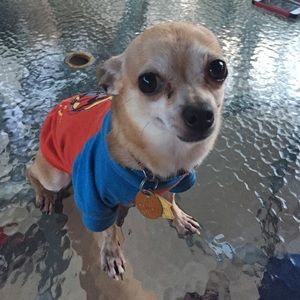 Meet your Posher, Jay