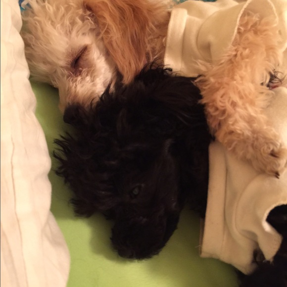 Meet your Posher, Debra