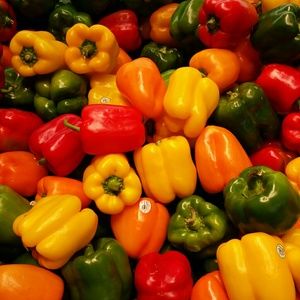 Meet your Posher, Melina