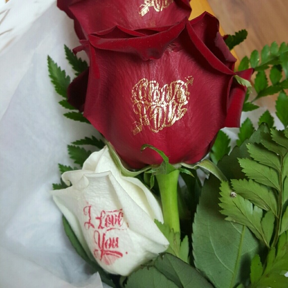 Meet your Posher, Justina - Picture 1 of 1