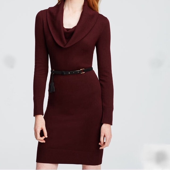 Ann Taylor Dresses & Skirts - Ann Taylor Cowl Neck Sweater Dress