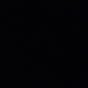 Meet your Posher, Lizzie