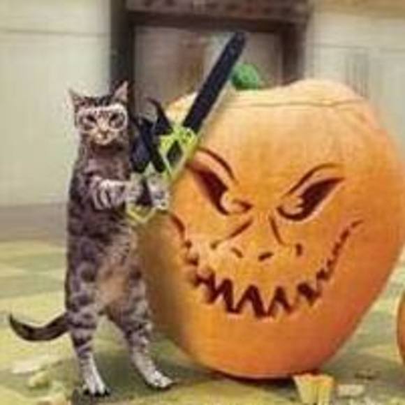 Meet your Posher, Kim - Picture 1 of 1