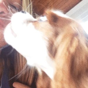 Meet your Posher, Ellie