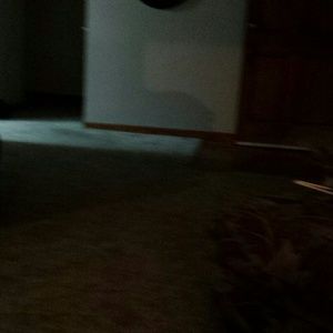 Meet your Posher, Joette