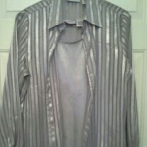 Blouse with Silver Shell, Sleeves are stripped