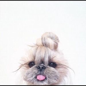 Meet your Posher, Ivette